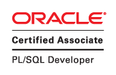 Oracle PL/SQL Logo